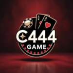 C444 Game